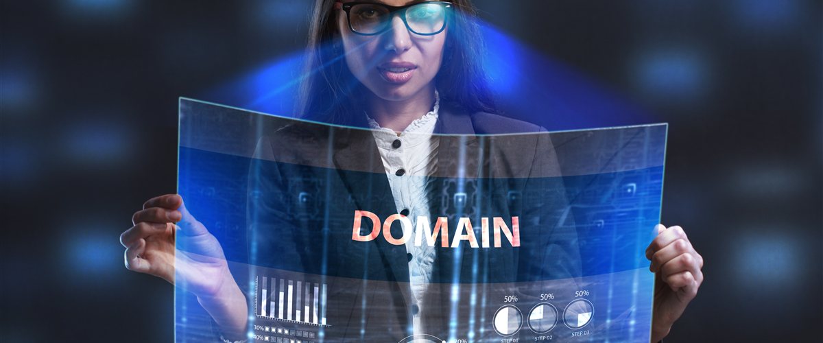 KPIs zur Bewertung von Domains